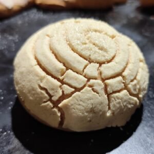 "Concha Blanca Tradicional"