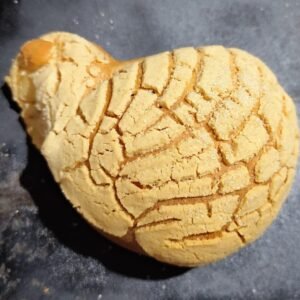 "Patito de Concha"