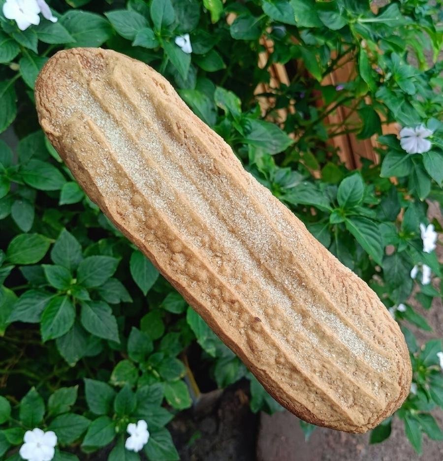 "Regañada Dorada"